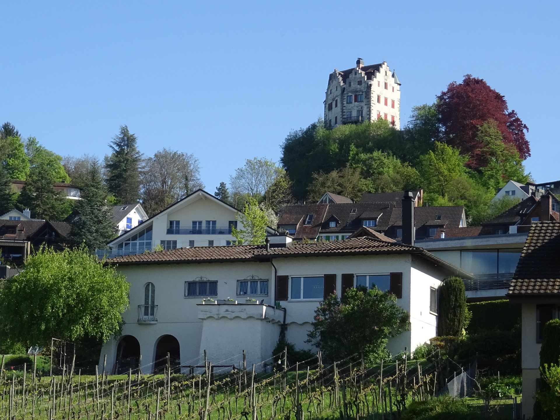 Salenstein Castle
